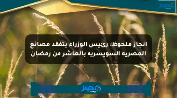 إنجاز ملحوظ: رئيس الوزراء يتفقد مصانع المصرية السويسرية بالعاشر من رمضان